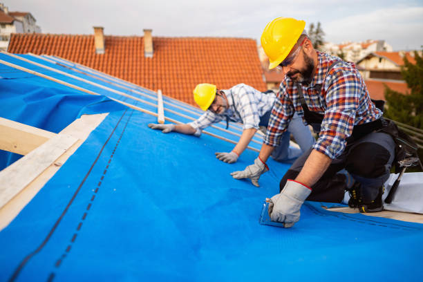 Best Rubber Roofing (EPDM, TPO)  in Driggs, ID